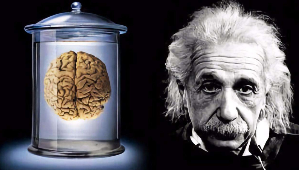 爱因斯坦去世后,大脑居然被人切成数百个,发现了其中的秘密