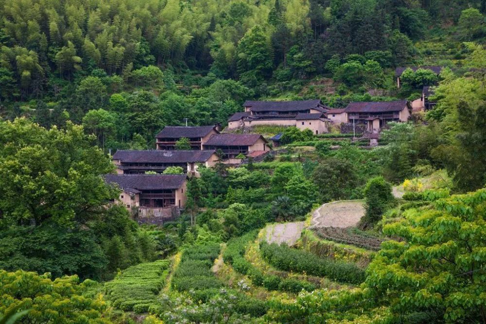 带你穿越丽水山间秘境!左手梯田右手云海,还有百年古村落