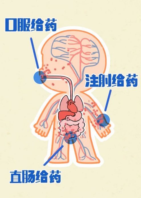 但是,和口服,注射,直肠等给药方式相比, 皮肤给药是效果最低的一种给