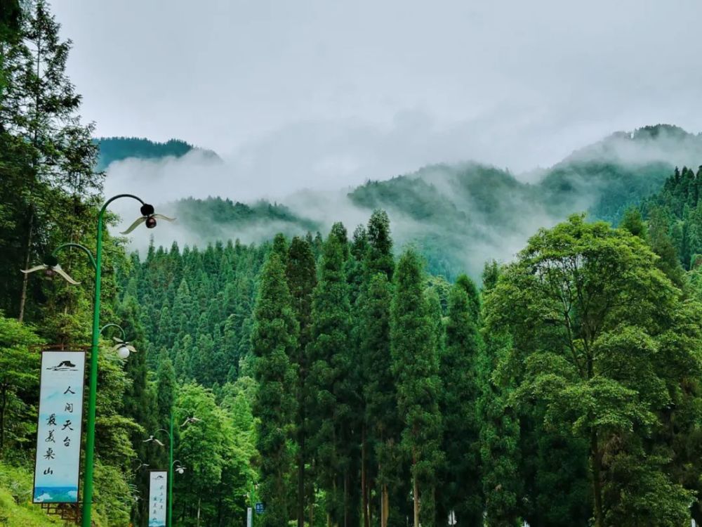 瓦屋山,云雾,迷魂凼,旅行,避暑