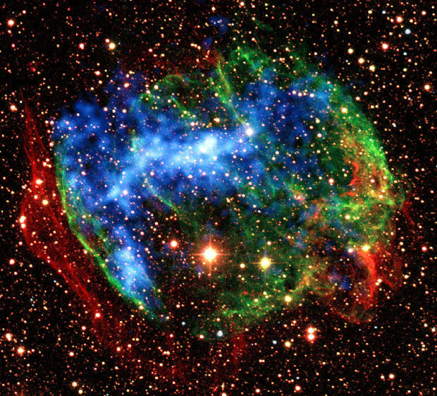 科学家证实宇宙是个巨型生物?人类只是寄生的一个细菌