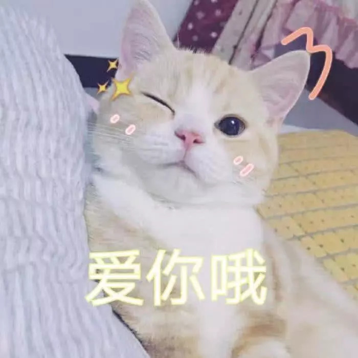 2019最流行的"羞人"表情包,告别晚安,赶紧get起来吧!