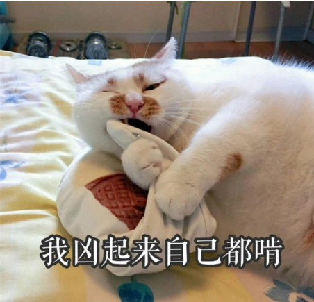 萌宠猫咪可爱表情包:我自闭了!