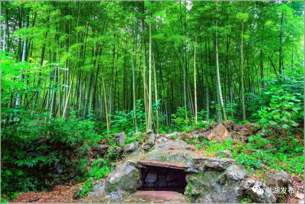 靳山村旁一片竹林下,有着一口古泉,村人称为村后井.