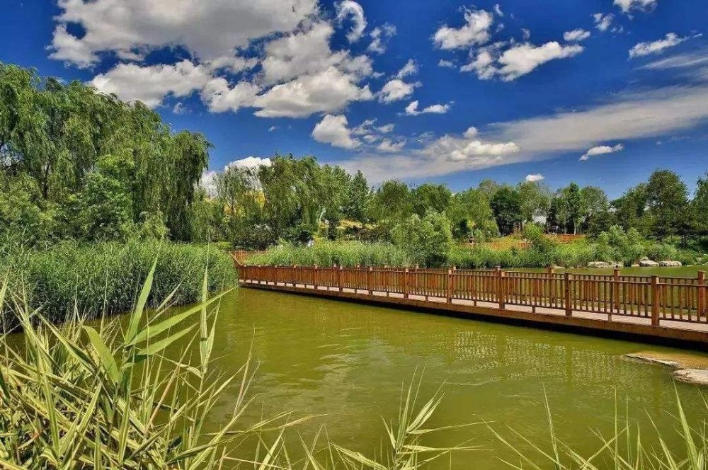 湿地公园,北京,南海子公园,门票,公园,郊野公园