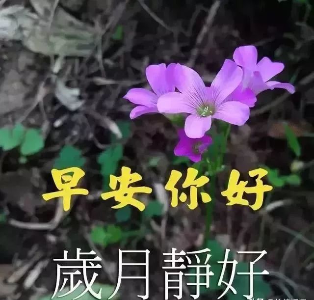 清晨问候朋友的早上好暖心祝福语录,充满幸福感的问候