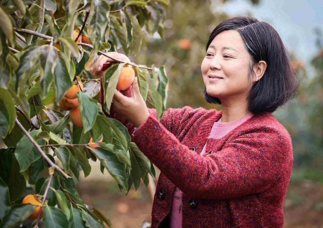 农村俗语"女人当家,房屋倒塌",有道理吗,女人真不能当家?