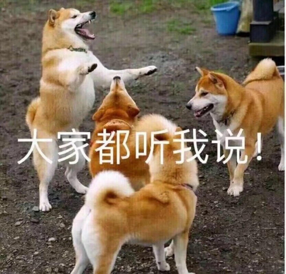 搞笑,开心,幽默,笑话