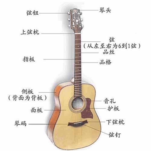 电吉他的原理是什么_电吉他图片(2)