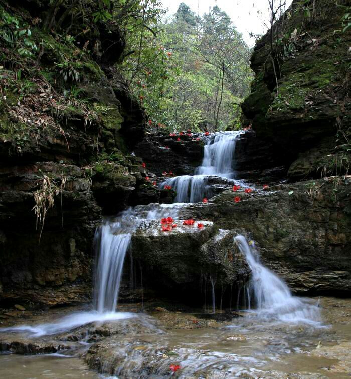 小草坝,景区,瀑布,彝良县,花溪,昭通