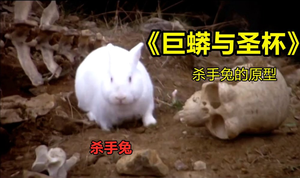 杀手兔:minecraft中一只兔子的变种,拥有血红色的眼睛.
