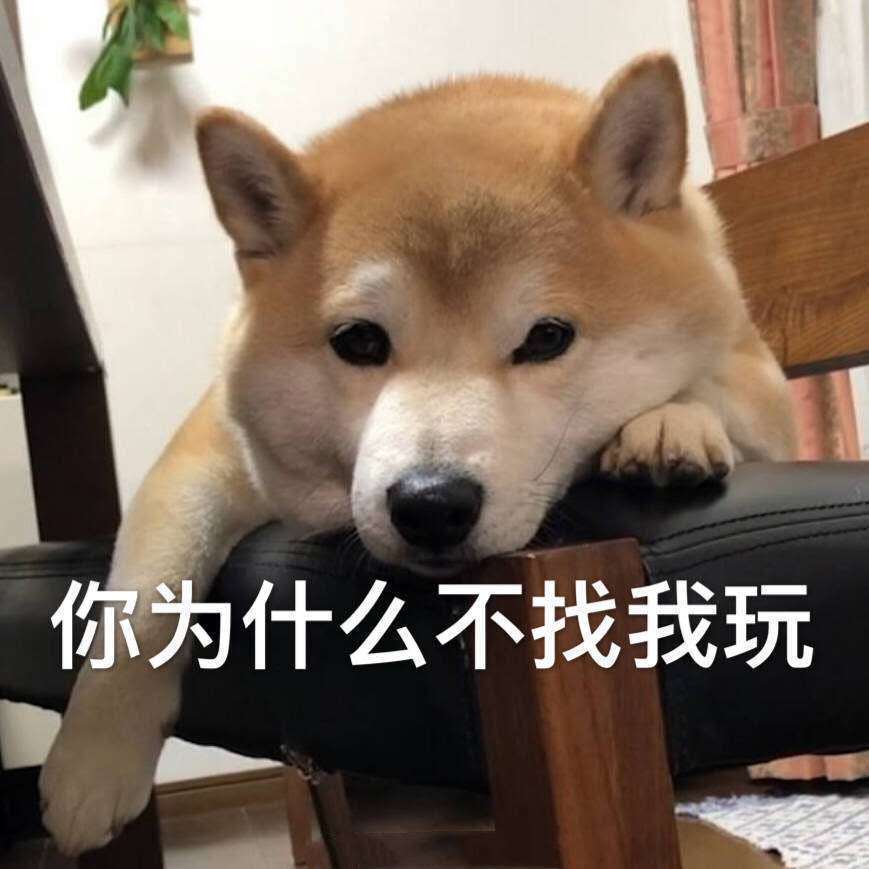 搞笑,开心,笑话,幽默
