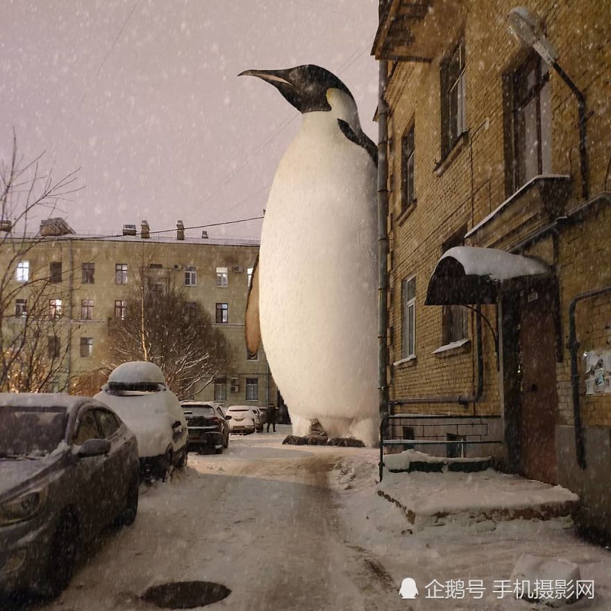 一只巨型企鹅走在城市里.