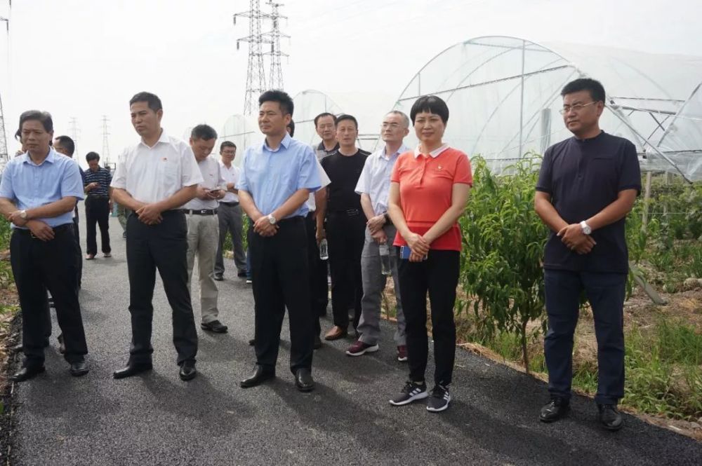 蜀山区结对帮扶寿县推进脱贫攻坚工作联席会议召开