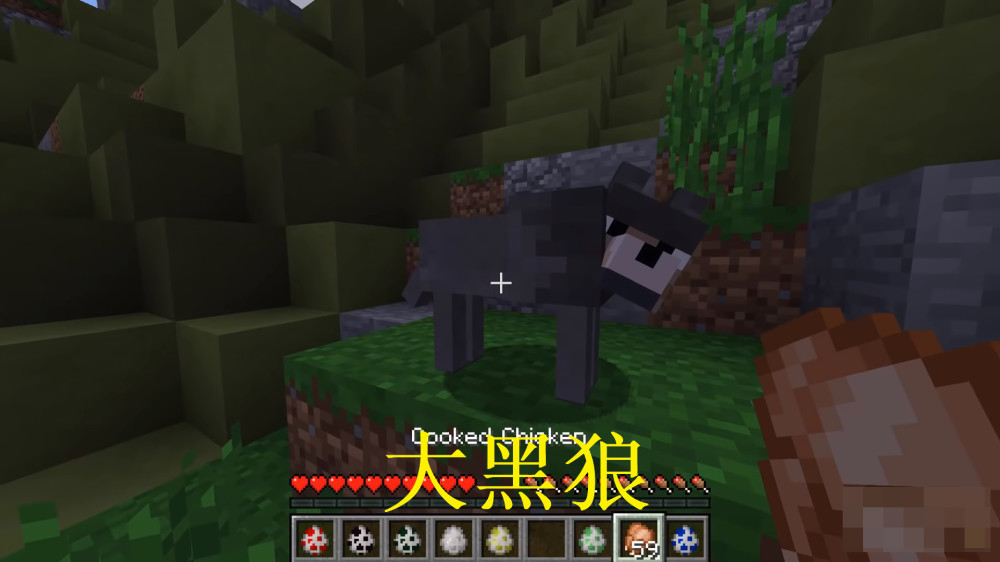 我的世界:生物群系的狼,沙漠里狼是黄沙的颜色,凋零狼