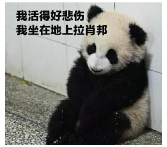 生气·撒娇·专用表情包:我活得好悲伤,我坐在地上拉肖邦