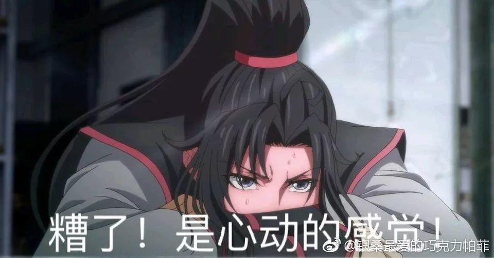 魔道祖师表情包!蓝忘机的雅正