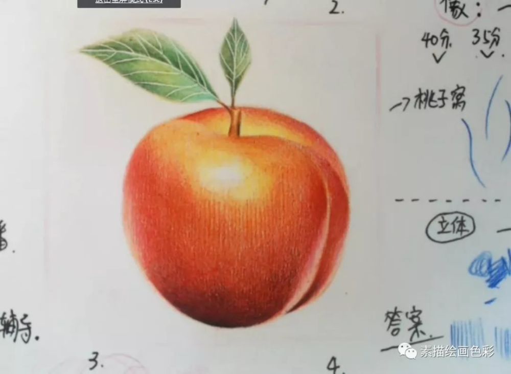 素描静物 彩铅桃子步骤步骤