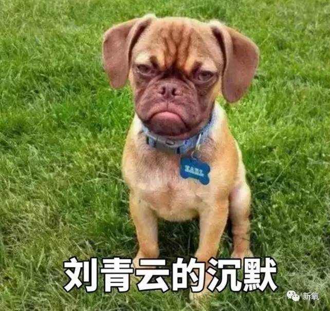 16萬的瘦臉、24萬的雙眼皮，天價(jià)整形背后的秘密！