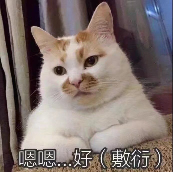 搞笑猫咪表情包:不了不了,伤身体