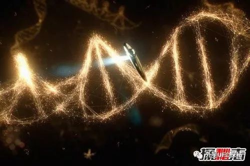 科学家称人类dna被外星人设计 编写dna的程序员是谁 云 社区 腾讯云