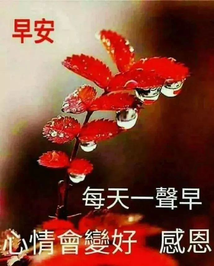 1月21日每日一句问候语