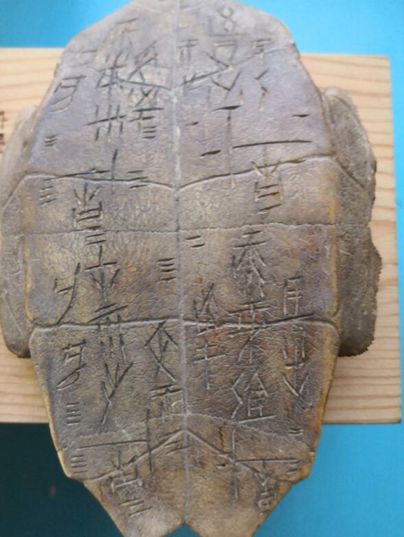 隆安右江出土了一块龟甲,上面刻满奇怪文字,专家说:不