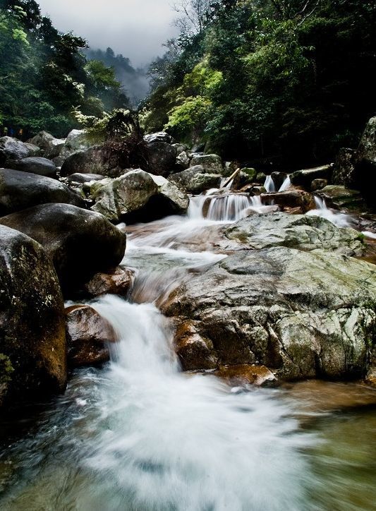 古木参天,茂林修竹,山花烂漫,涧瀑烟雨",景区内林海苍茫,山溪清澈