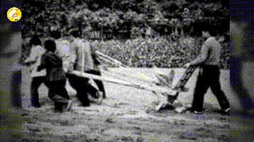 80年代 包产到户,农民口粮有了保证