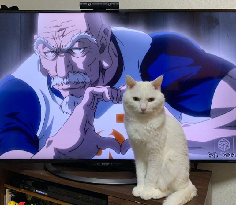 动漫,全职猎人,尼特罗会长