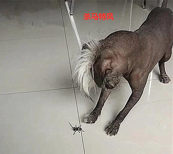 新萄京赌场官网 1