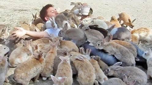澳大利亚"百年人兔大战",有关100亿只兔子的疯狂故事!