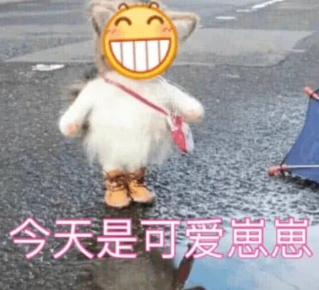 六月火了"萌宠"表情包:上学使我充实,上学使我快乐