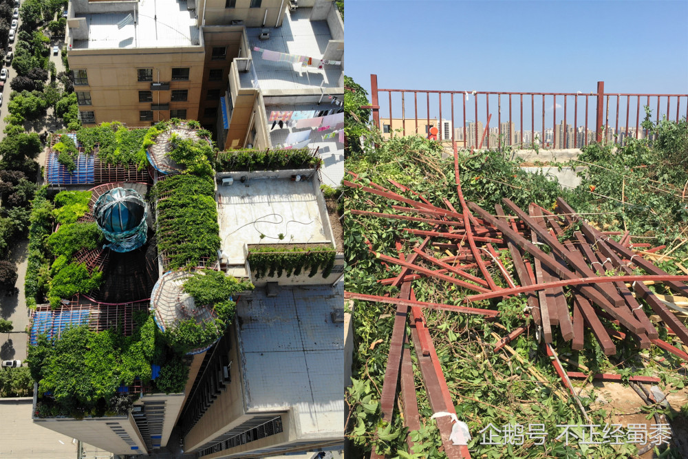 西安百万空中花园今被强制拆除,楼顶绿化一片狼藉