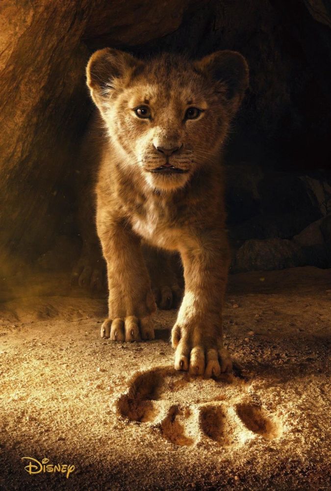 看《狮子王》真人版前,你需要知道刀疤的另一面