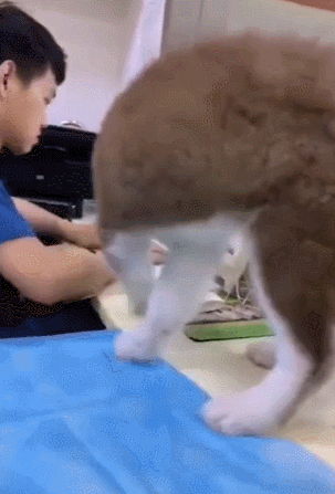 哥们儿,你就知足吧,看你老婆对你多好啊