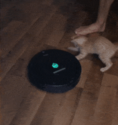 gif搞笑趣图:我买了这个东西以后怎么就成了你的玩具呢?