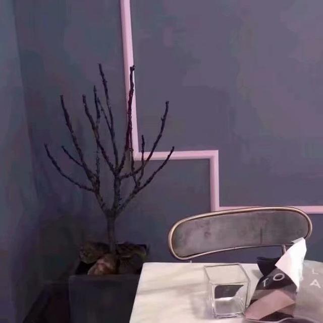 悲伤,墙角,网易