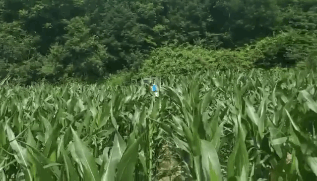 今天起,准备迎接