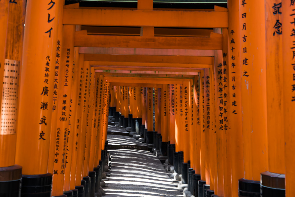 日本最震撼的景点,京都千本鸟居,上万座红色鸟居汇成时光隧道