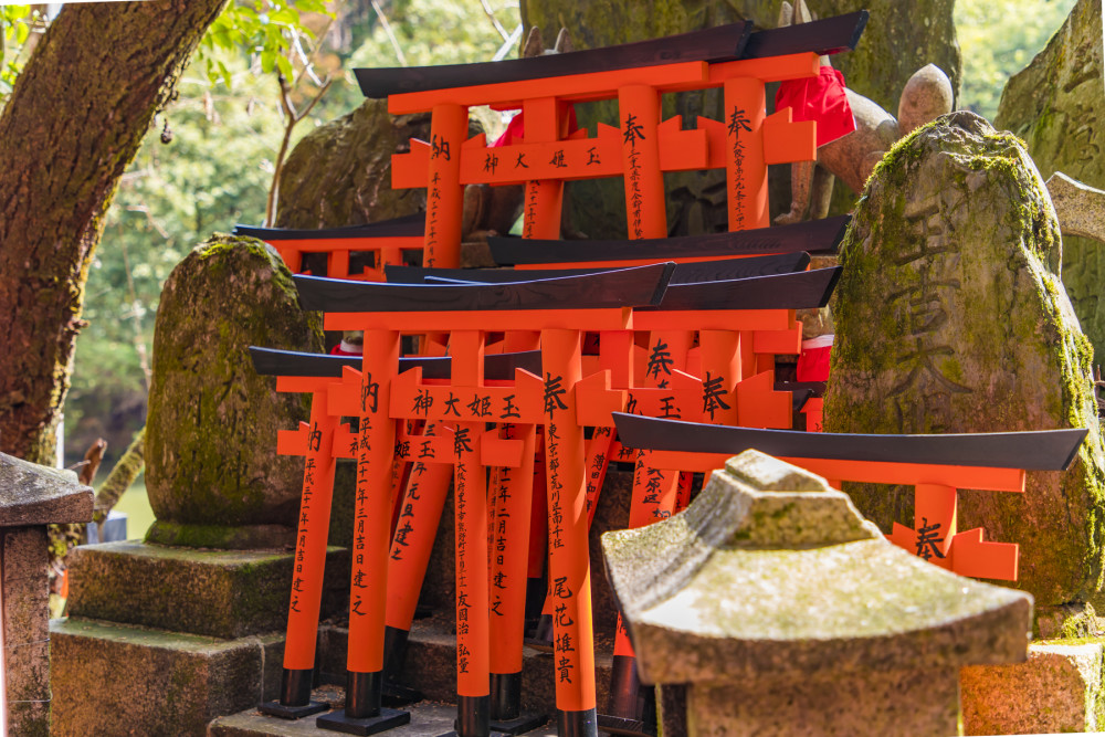 日本最震撼的景点,京都千本鸟居,上万座红色鸟居汇成时光隧道