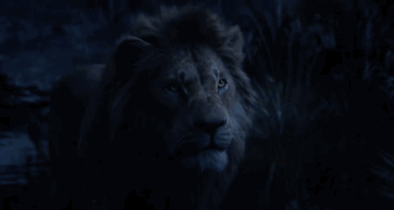 真狮版《狮子王》不止神还原