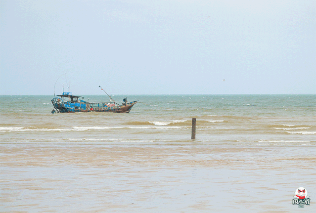 639_431gif 动态图 动图