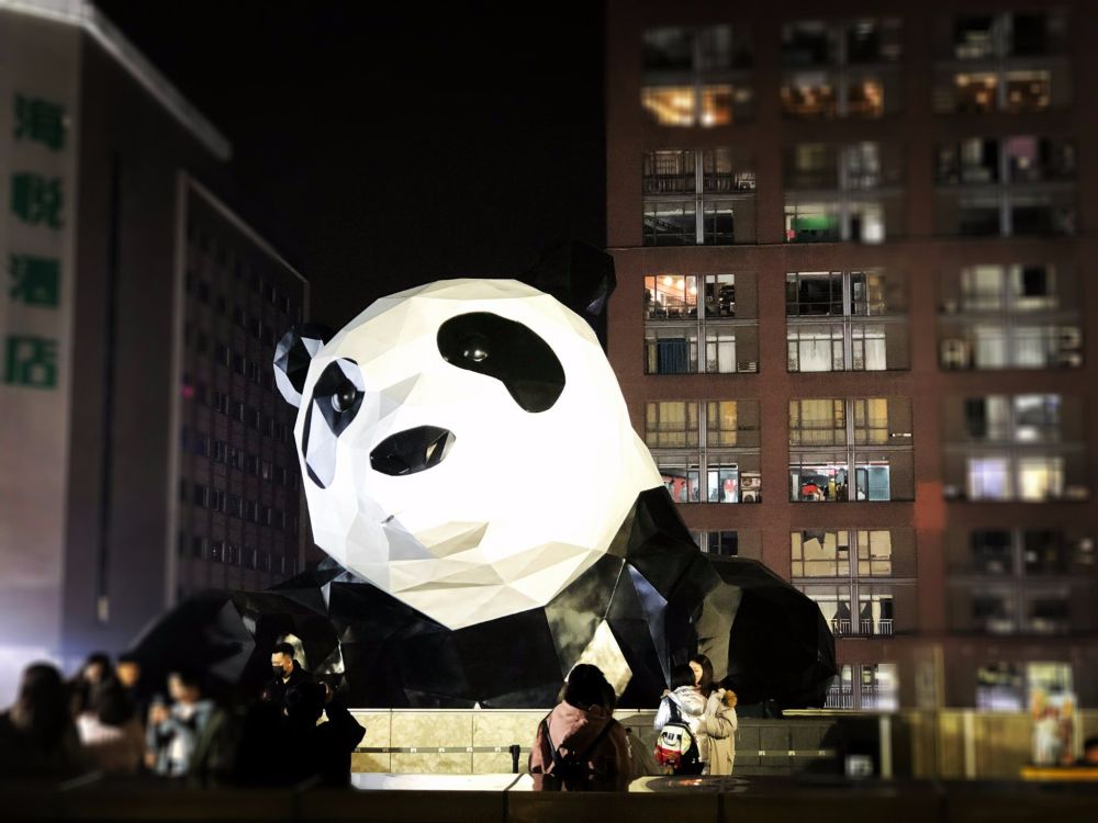 中国最火的一只大熊猫,在成都闹市"爬楼",无数人争相合影