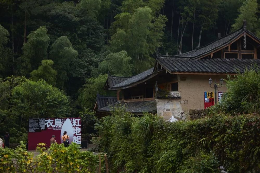 泰顺县,筱村镇,墟里,村落,古村落,古村