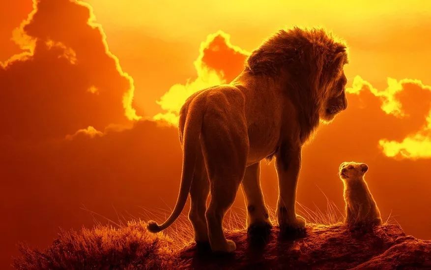2019年7月12日首映的新版《狮子王》还在未上映时就已经吊足了影迷
