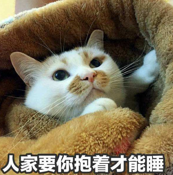 情侣互撩表情包:你还是不是我最爱的大猪蹄子了