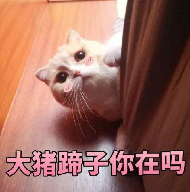 情侣互撩表情包:你还是不是我最爱的大猪蹄子了