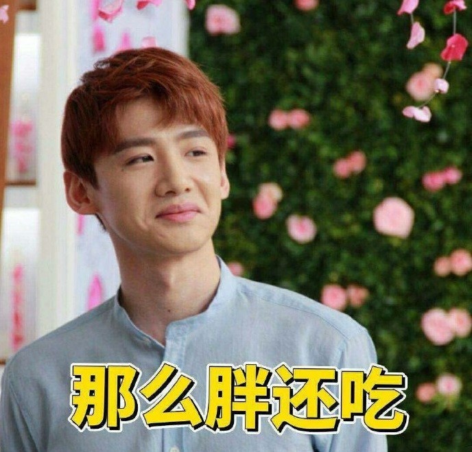 搞笑,表情包,明星,美图,白敬亭