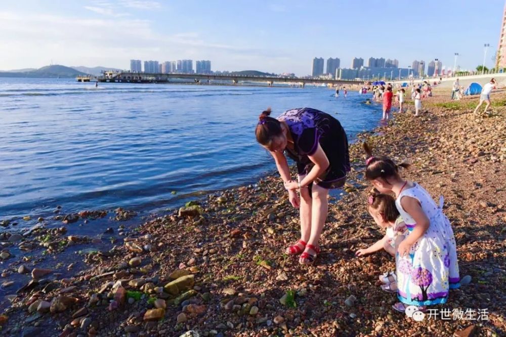 来旅顺赶海,给你一个鲜鲜爽爽的夏天